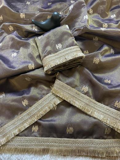 Vastrangan tussar silk surat saree world